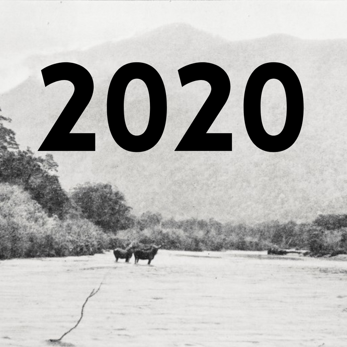 Thank you, 2020