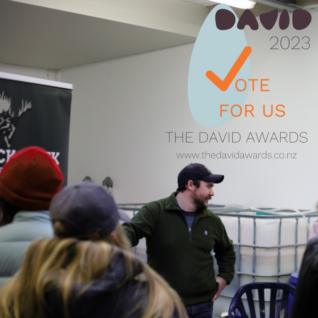 Herrick Creek is a Finalist for The David Awards!